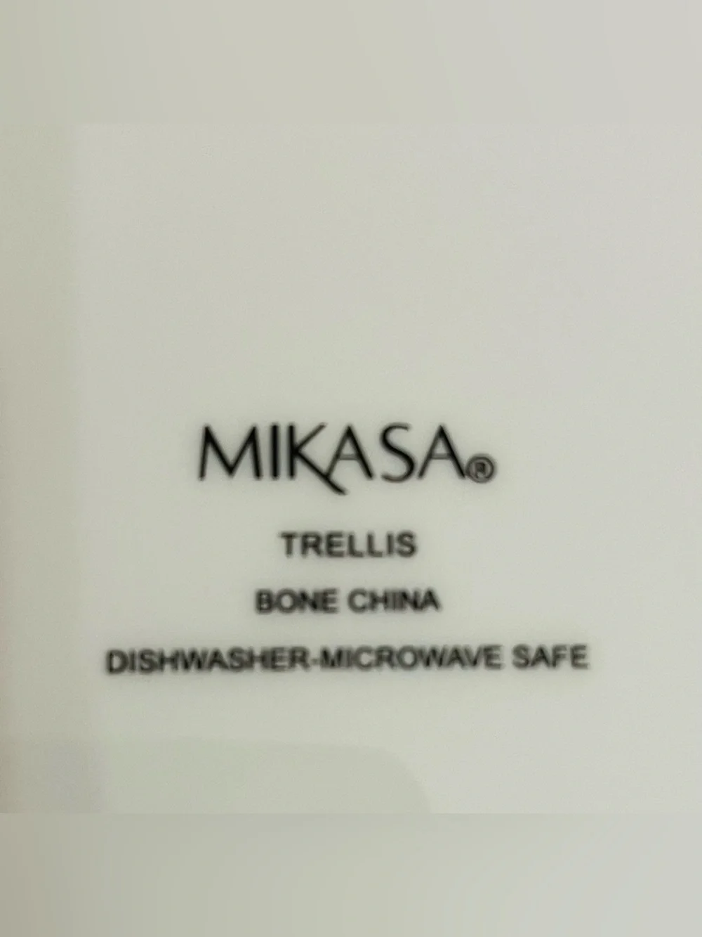 Set of 2 Mikasa Trellis White Bone China Dinner Plates 11” Elegant Lattice Rim